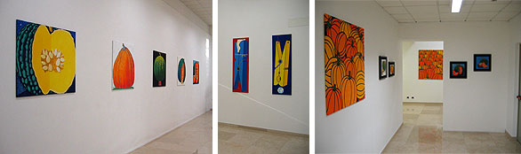 Alcune immagini delle sale